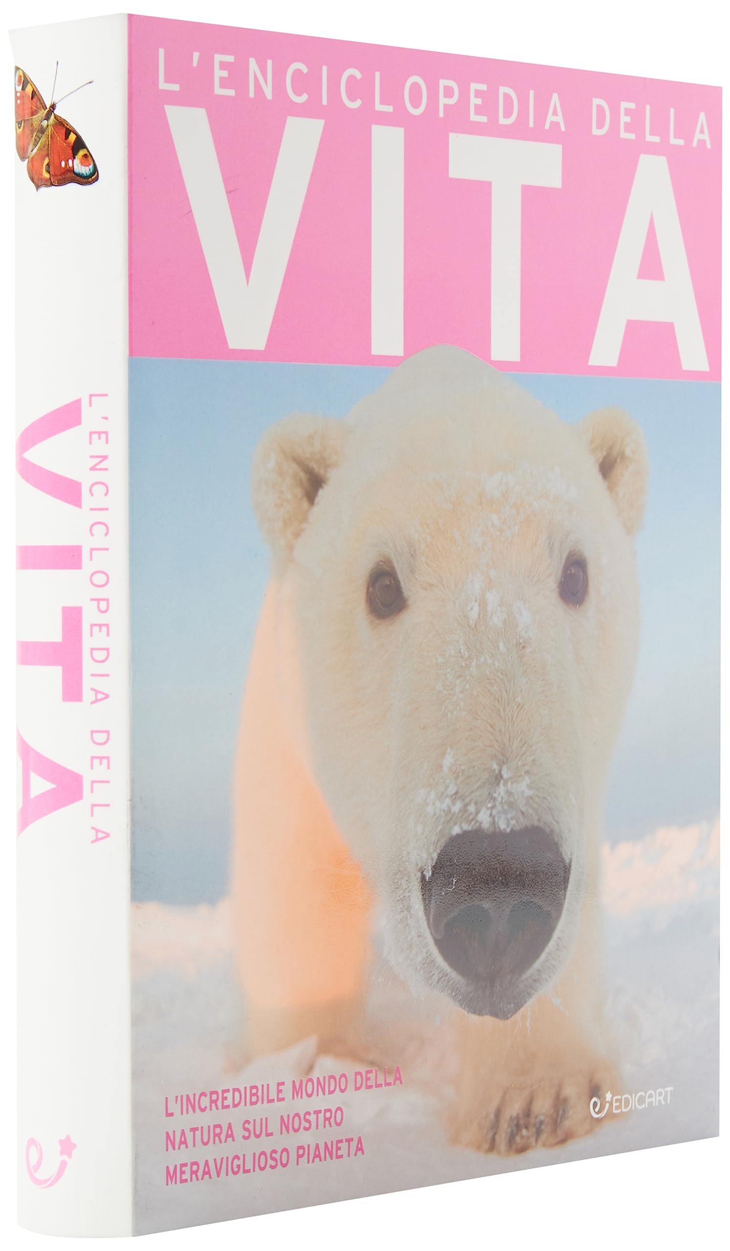L'enciclopedia della vita. Ediz. a colori Study Guides