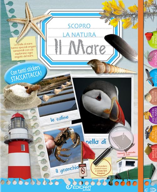 Il mare. Scopro la natura. Con adesivi. Ediz. illustrata book