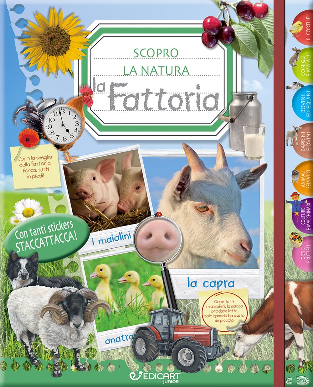 La fattoria. Scopro la natura. Con adesivi Non-fiction