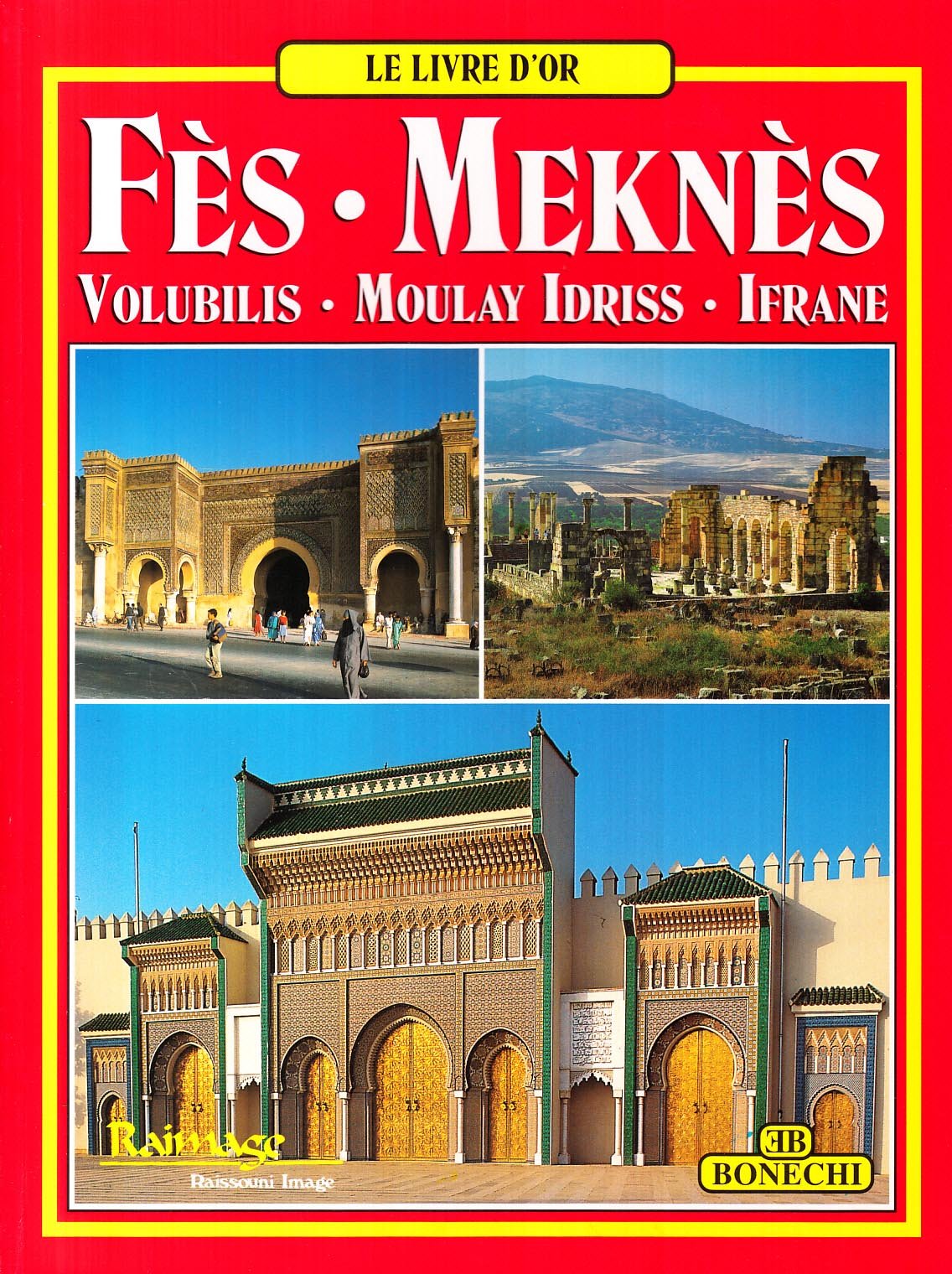 Fès Meknès. Ediz. francese book