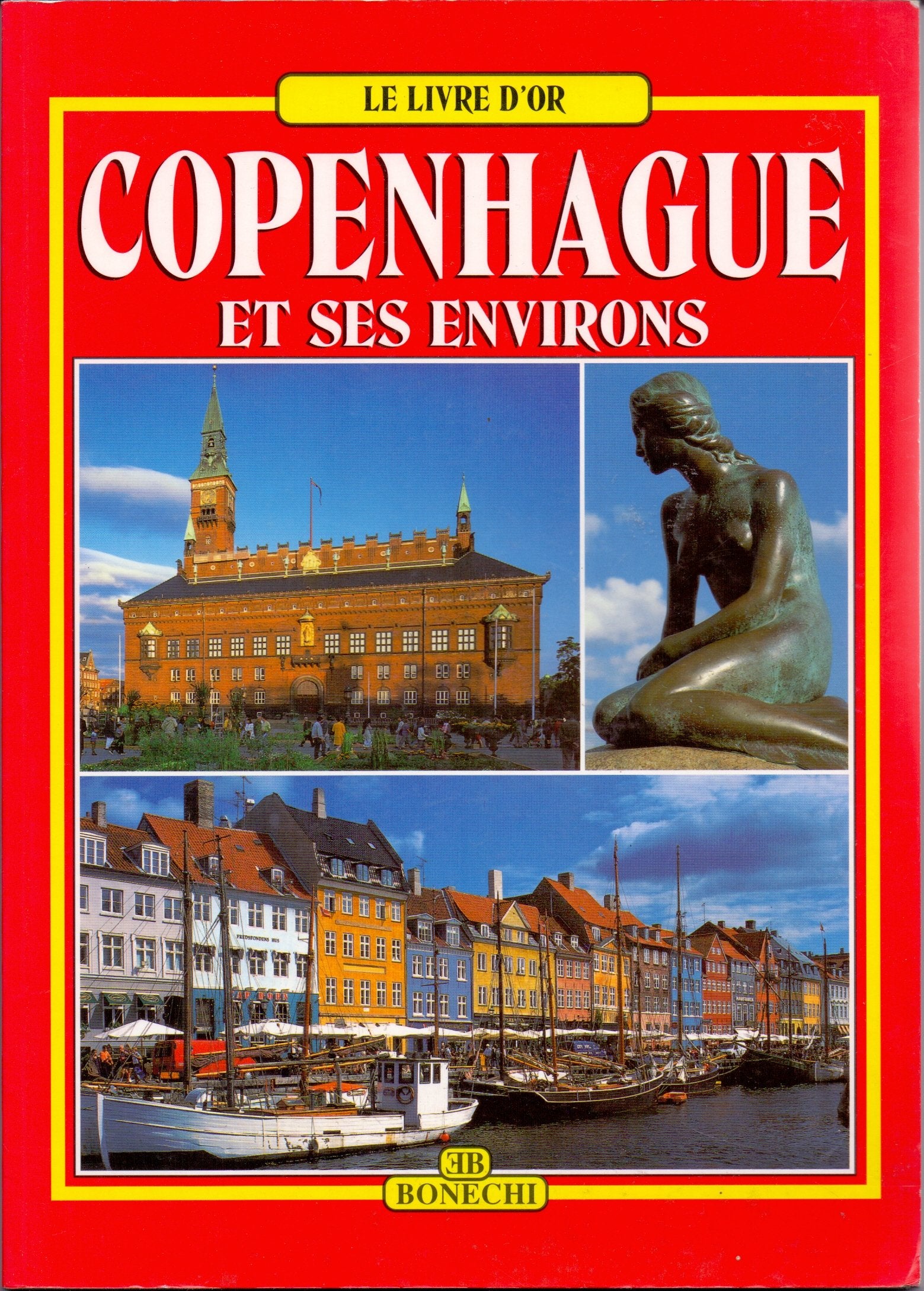 Copenhagen e i suoi dintorni. Ediz. francese book
