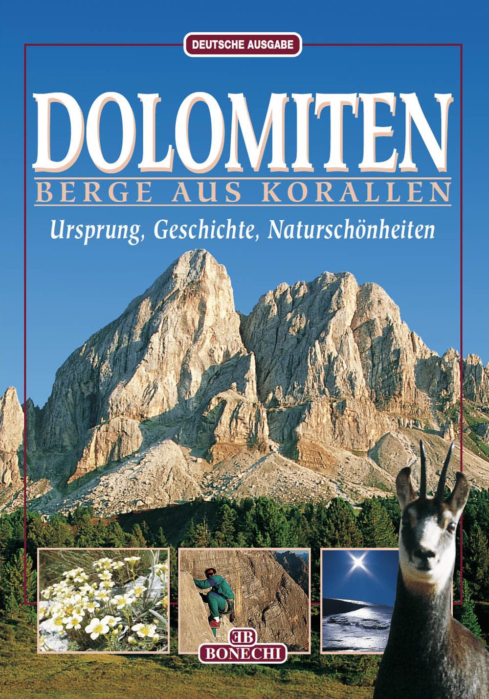 Dolomiten. Berge aus Korallen Leisure, Home & Garden