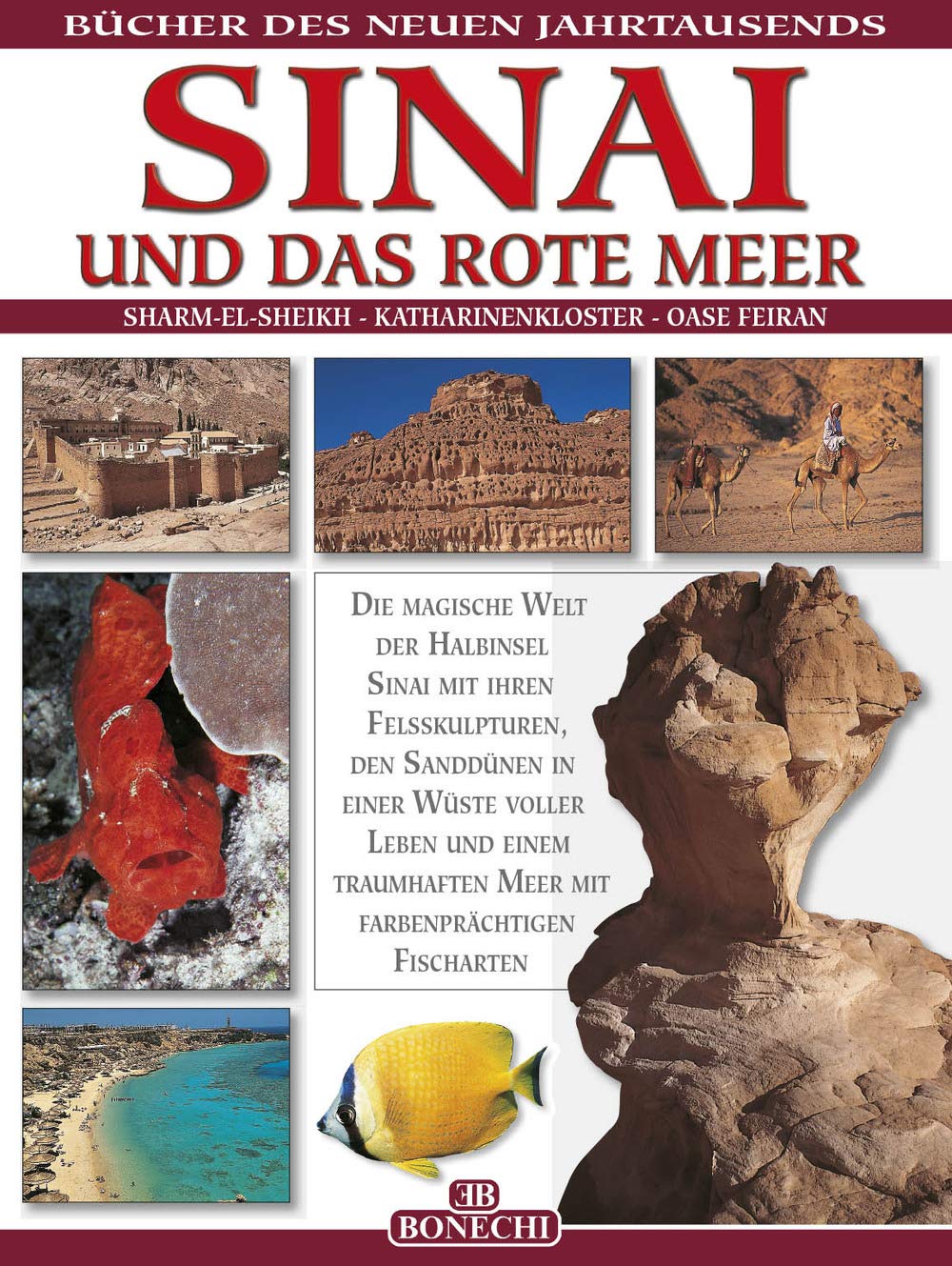 Sinai e il Mar Rosso. Ediz. tedesca (I libri del nuovo millennio) Leisure, Home & Garden