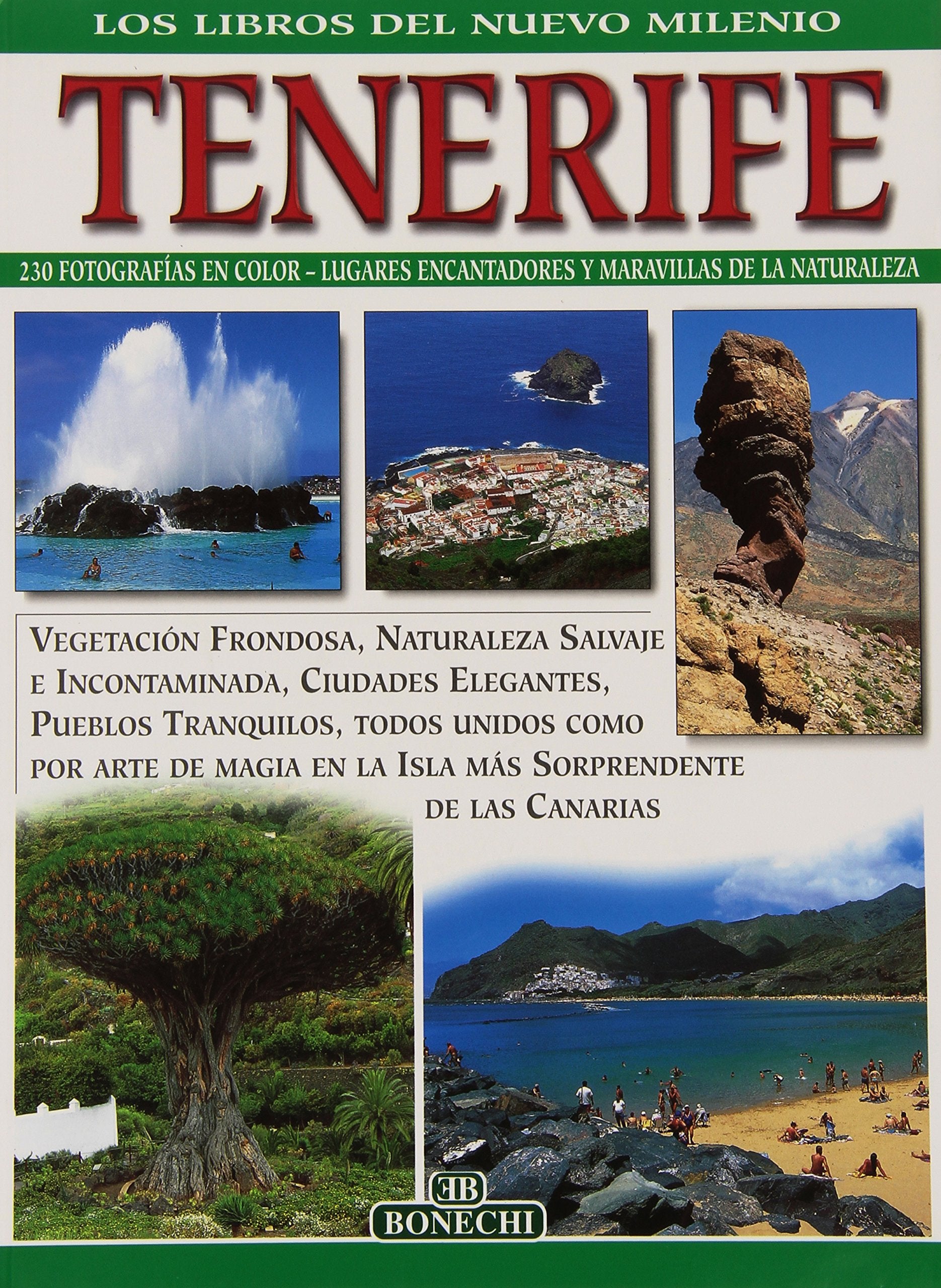 Tenerife. Ediz. spagnola book