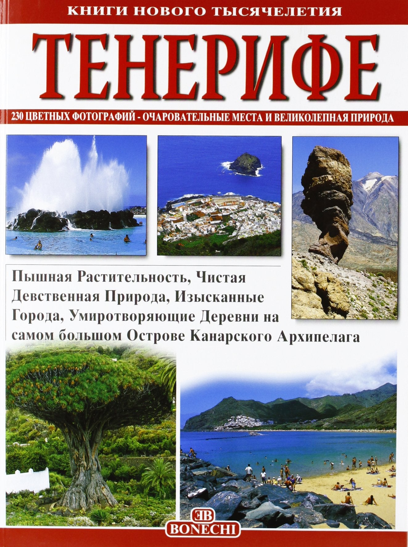 Tenerife. Ediz. russa (I libri del nuovo millennio) Leisure, Home & Garden