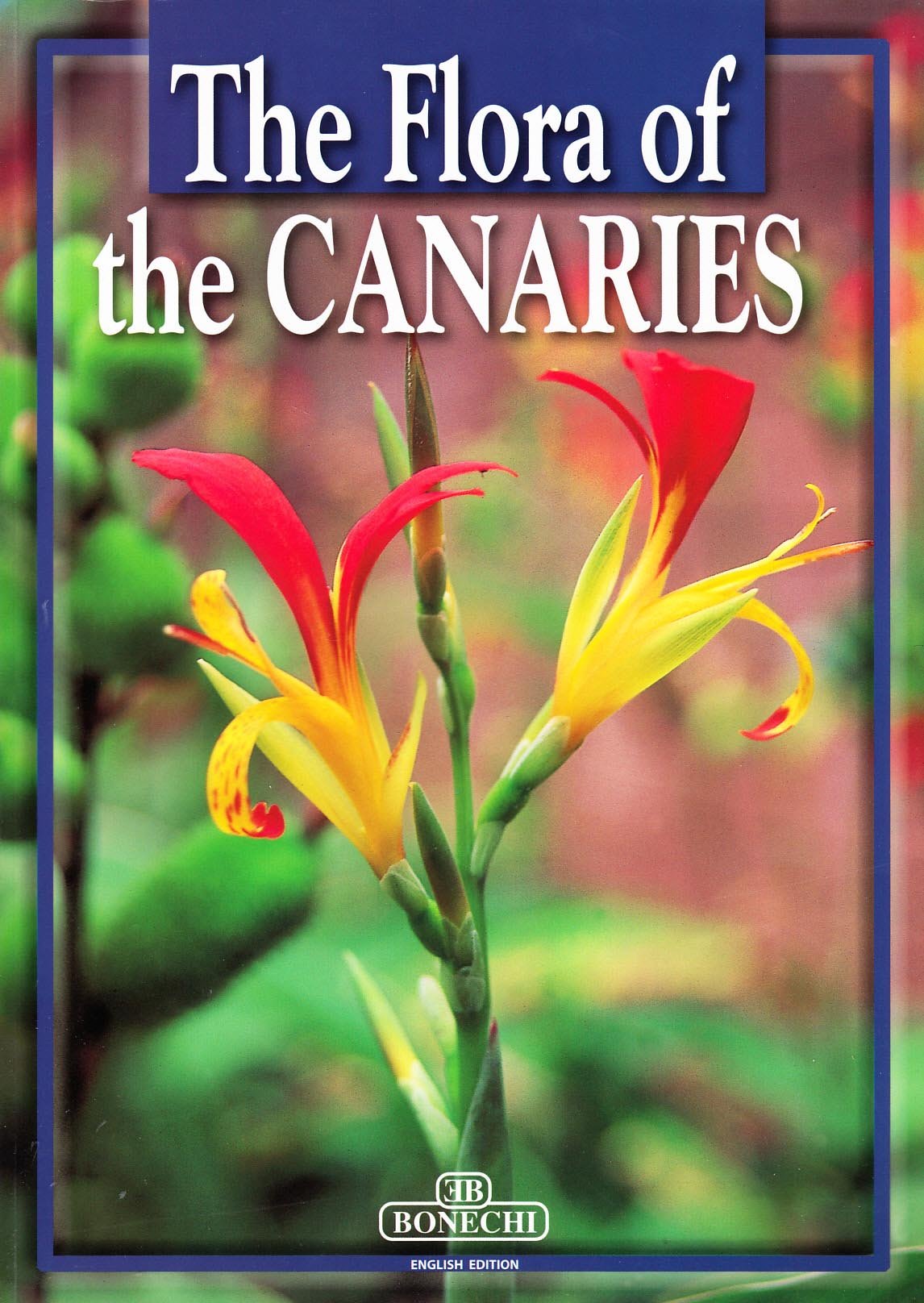 Fiori delle Canarie. Ediz. inglese (Il fantastico mondo della natura) Leisure, Home & Garden