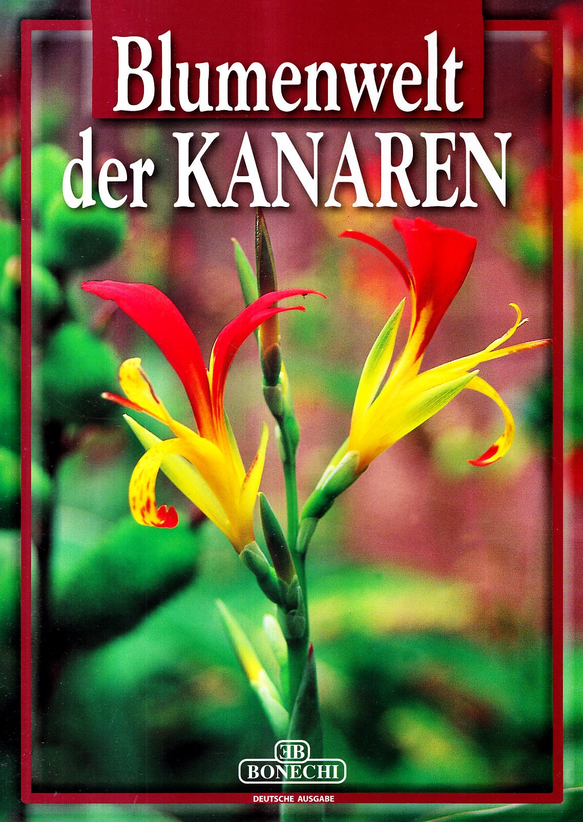 Blumenwelt der Kanaren. Leisure, Home & Garden