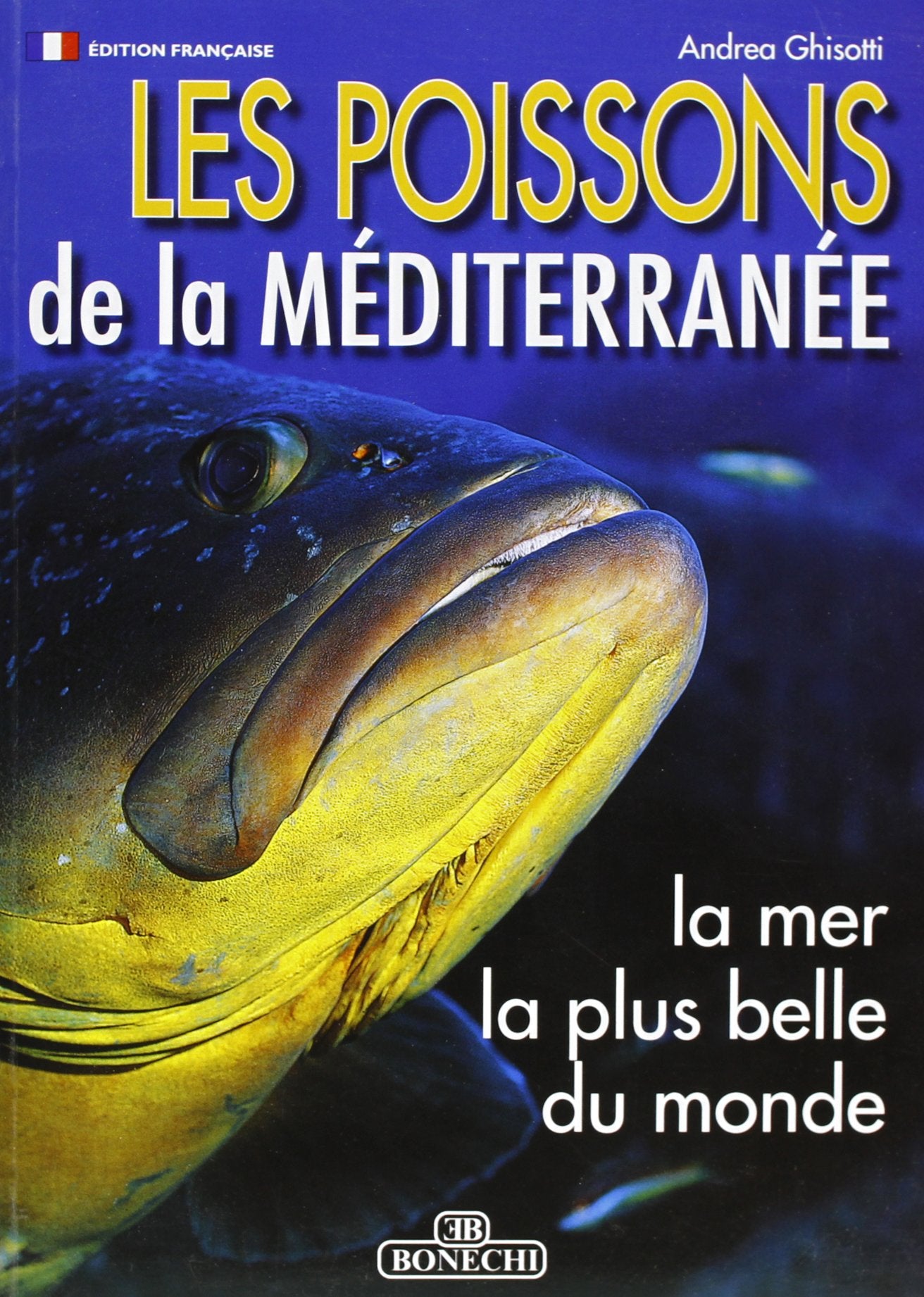 Pesci del Mediterraneo. Ediz. francese (Il fantastico mondo della natura) Leisure, Home & Garden