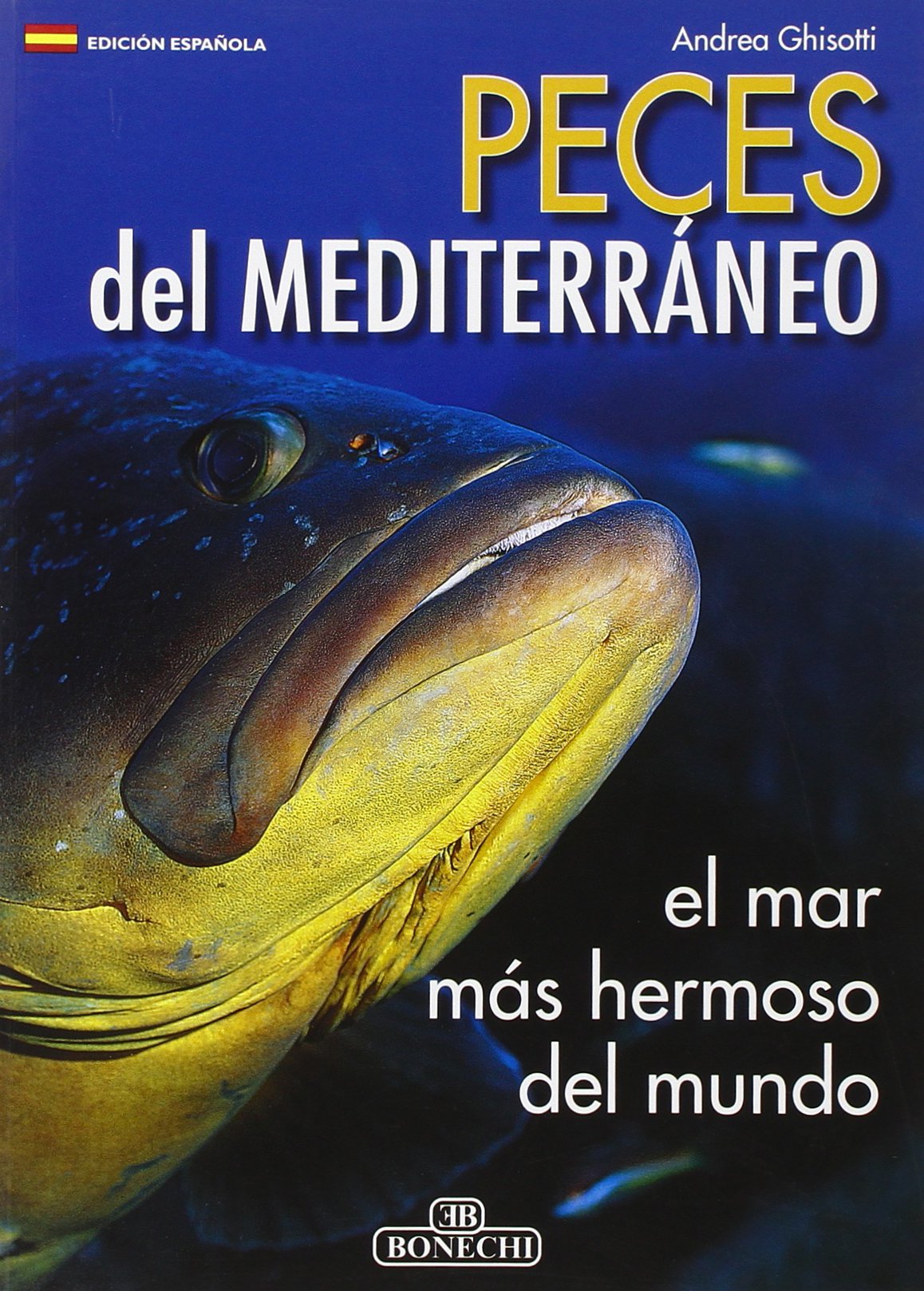 Pesci del Mediterraneo. Ediz. spagnola (Il fantastico mondo della natura) Leisure, Home & Garden