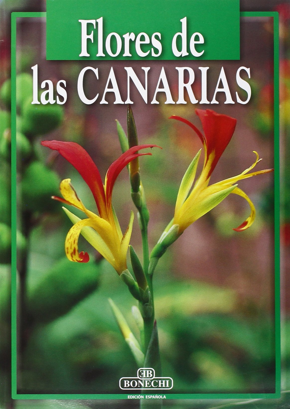 Fiori delle Canarie. Ediz. spagnola book