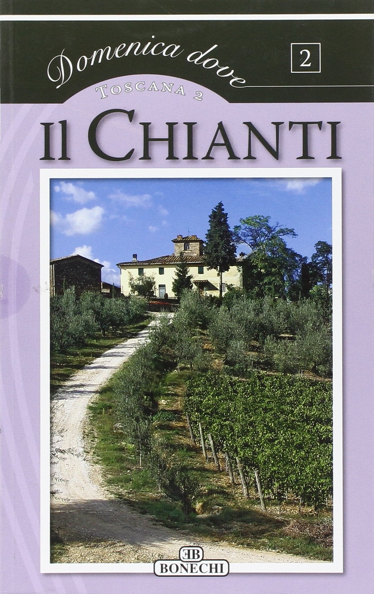 Il Chianti. Toscana. Ediz. a colori (Domenica dove) Leisure, Home & Garden