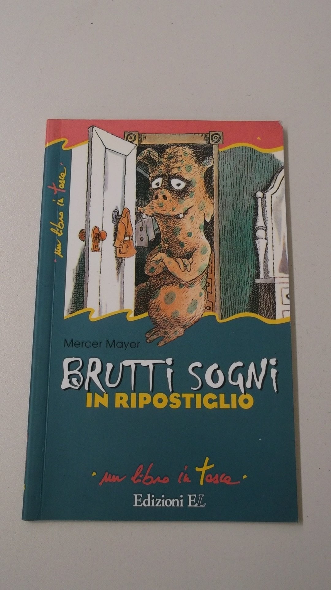 Brutti sogni in ripostiglio (Un libro in tasca) Books