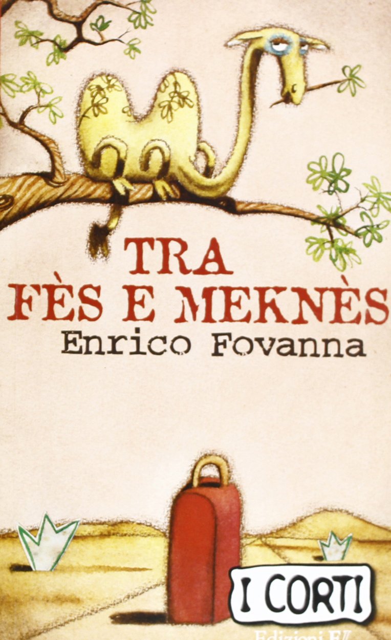 Tra Fès e Meknès book