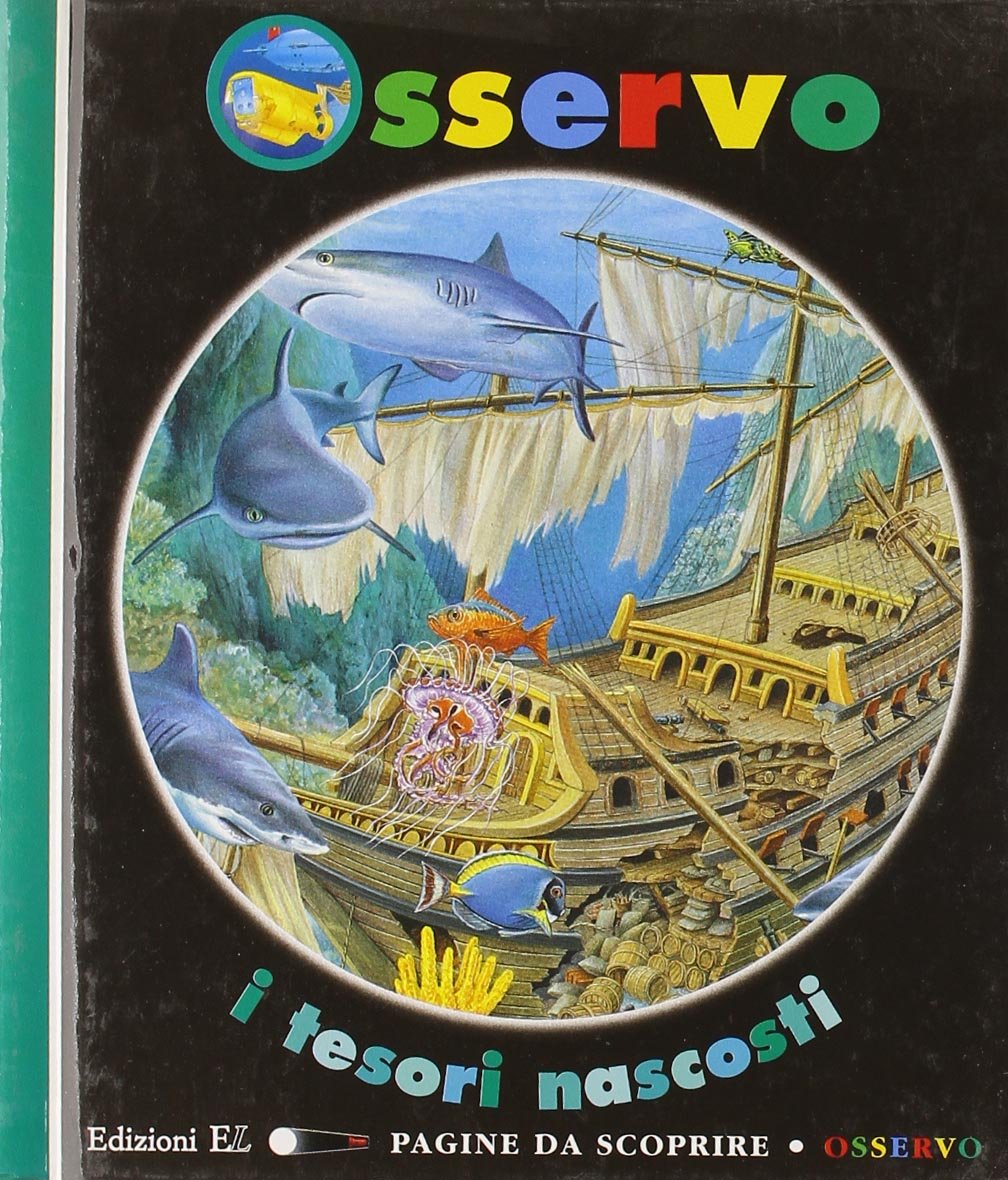 Osservo i tesori nascosti. Ediz. illustrata book