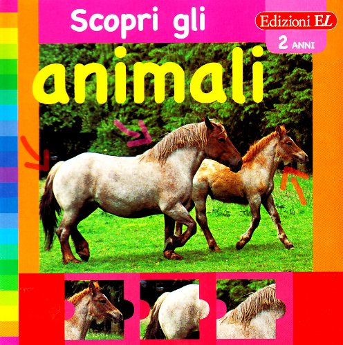 Cavallo. Scopri gli animali Non-fiction