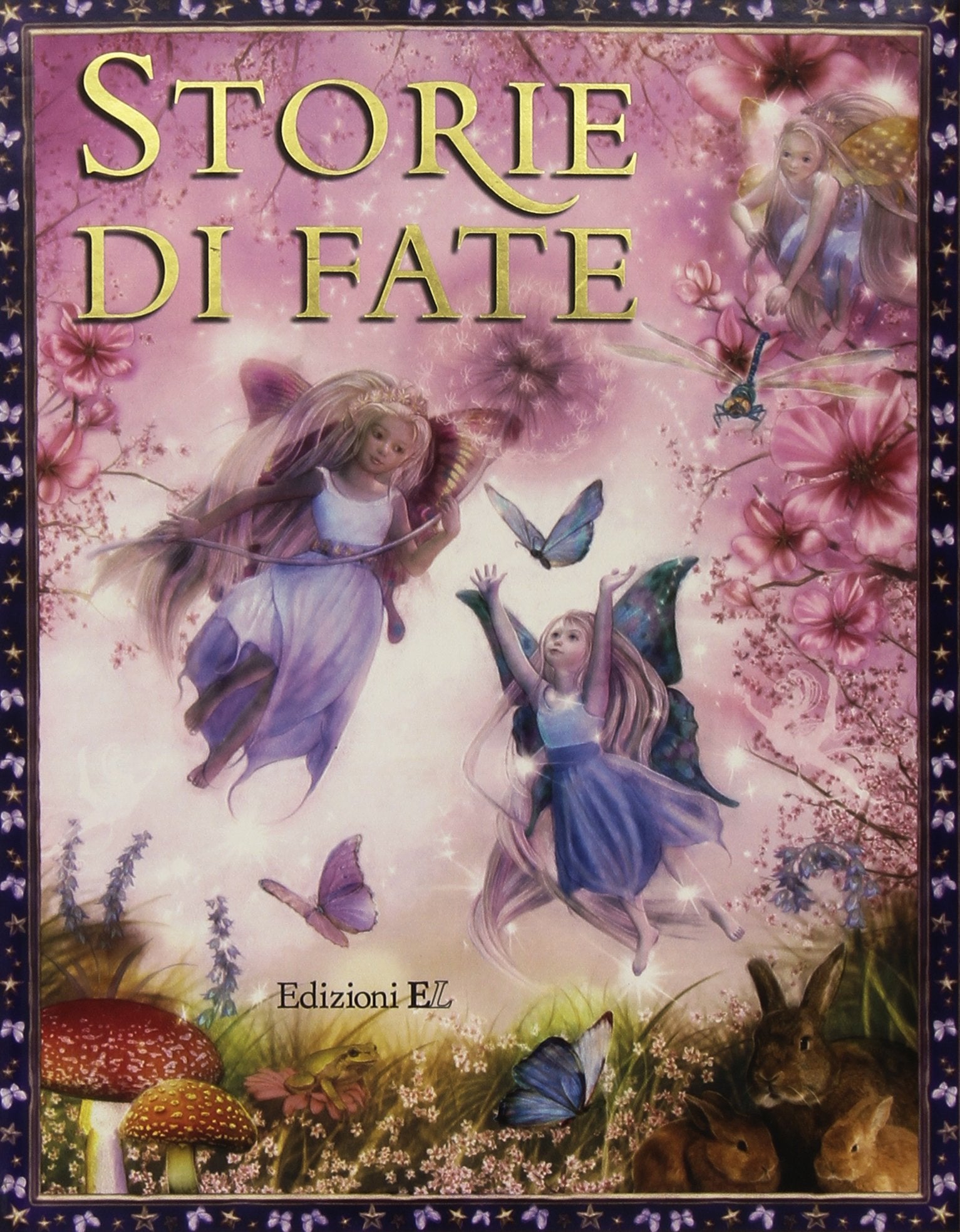 Storie di fate. Ediz. illustrata book