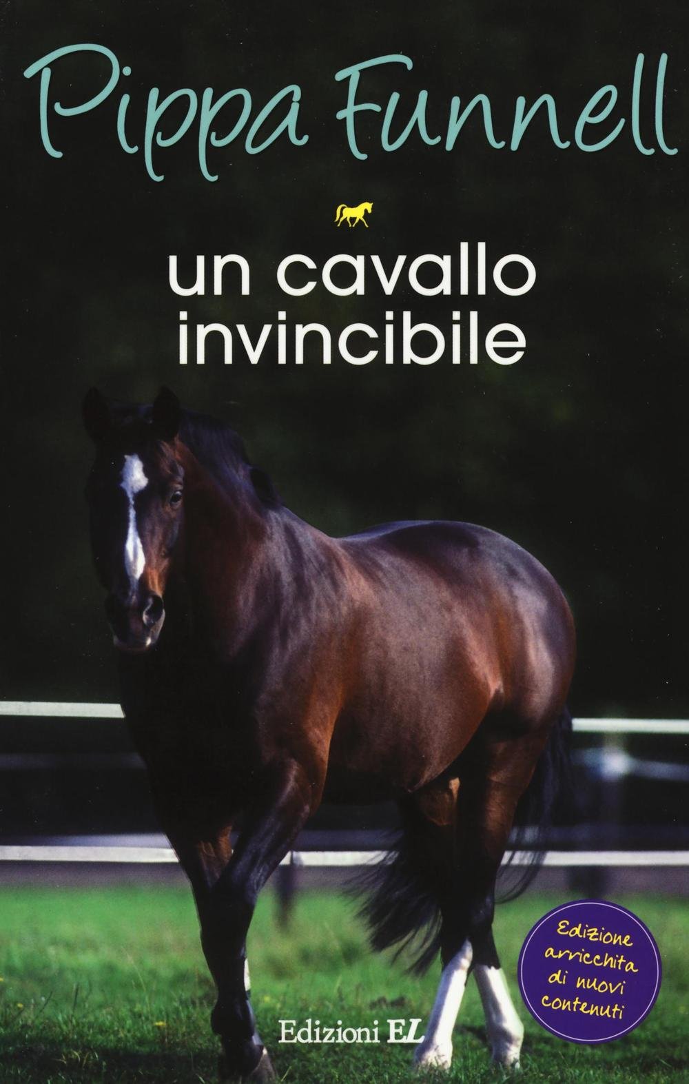Un cavallo invincibile. Storie di cavalli book