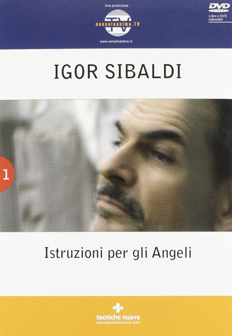 Istruzioni per gli angeli. Con DVD book