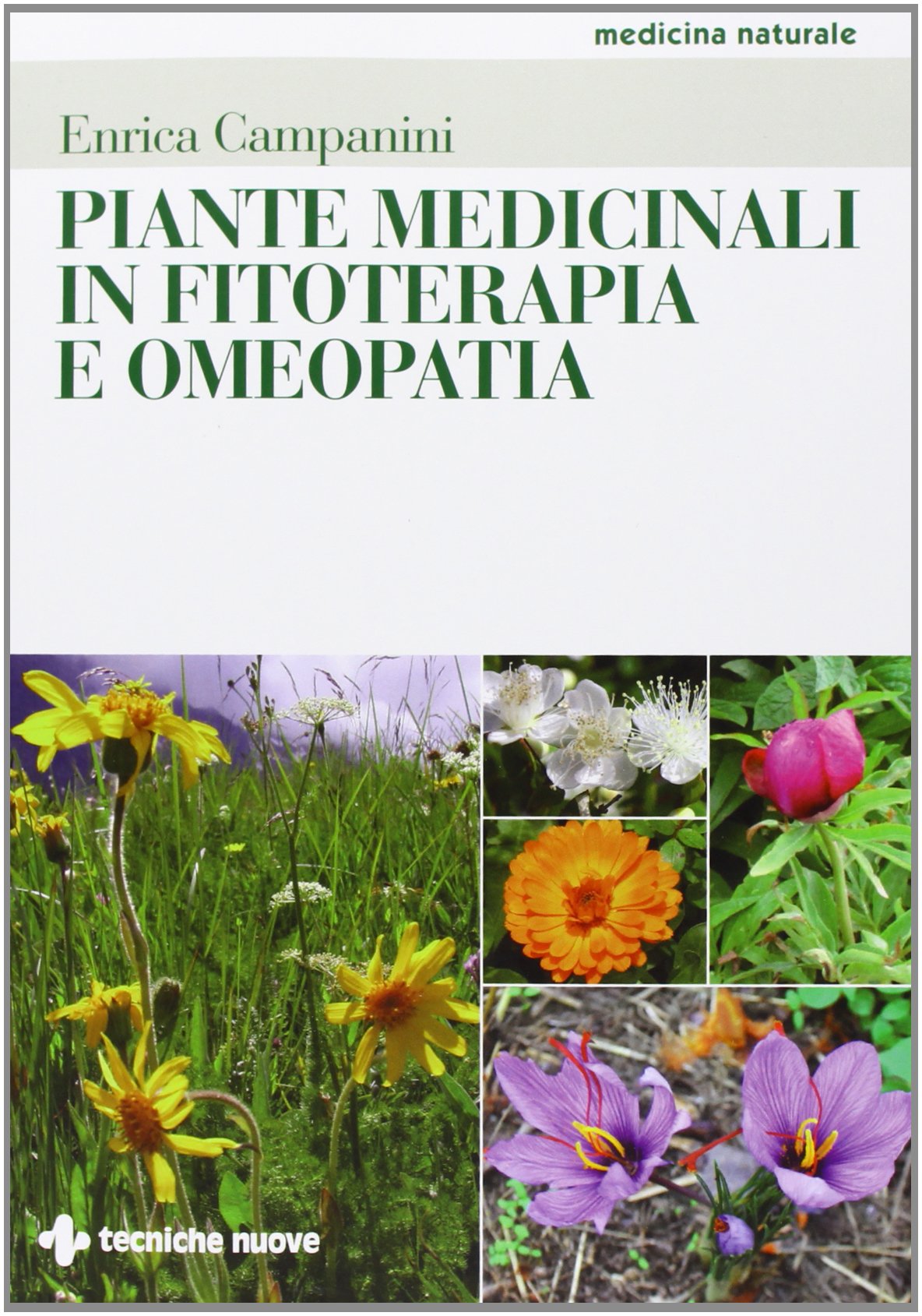 Piante medicinali in fitoterapia e omeopatia book