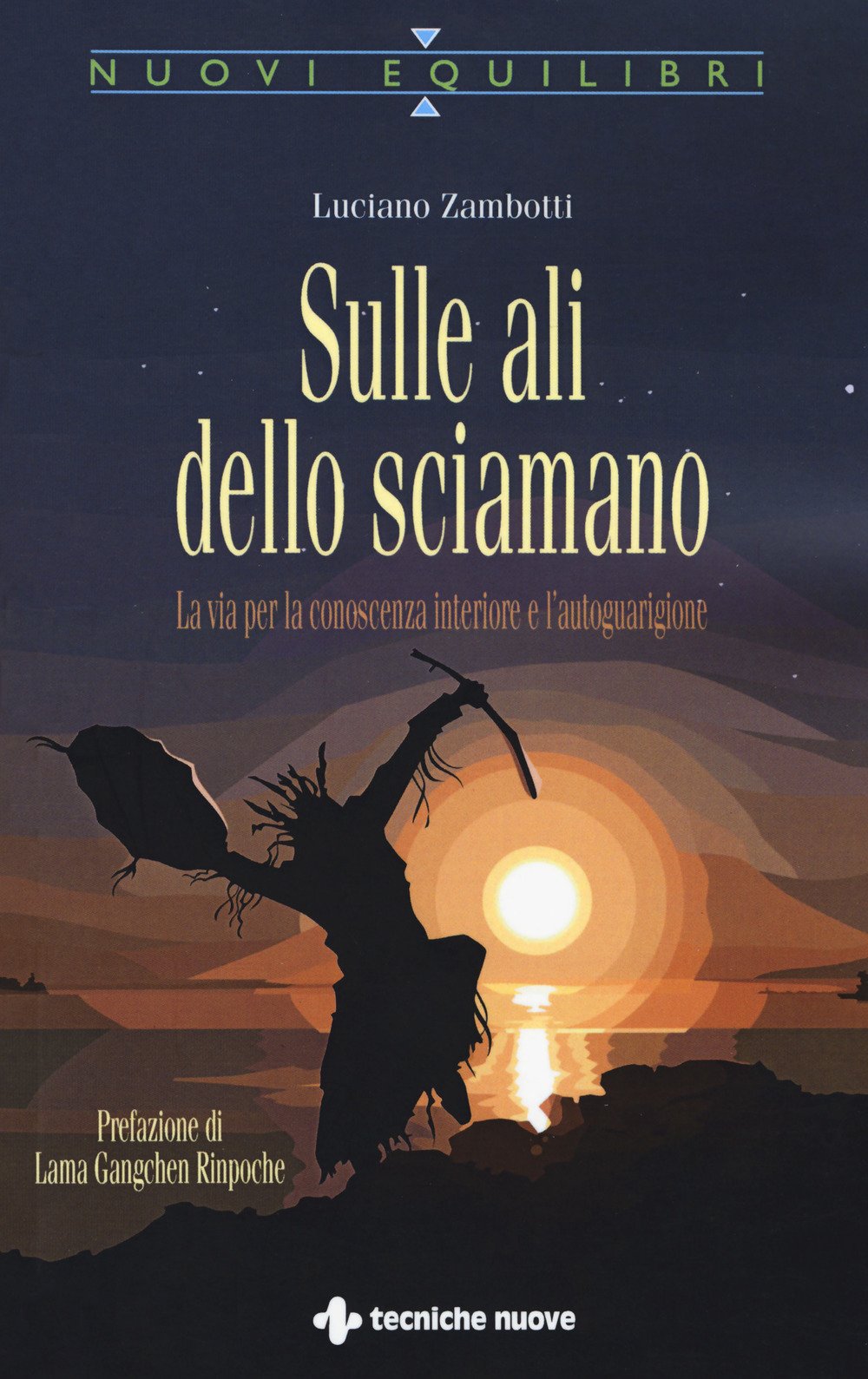 Sulle ali dello sciamano. La via per la conoscenza interiore e l'autoguarigione book