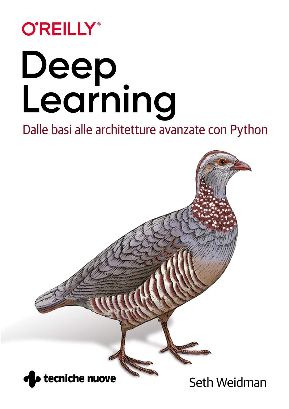Deep learning. Dalle basi alle architetture avanzate con Python Computer Science