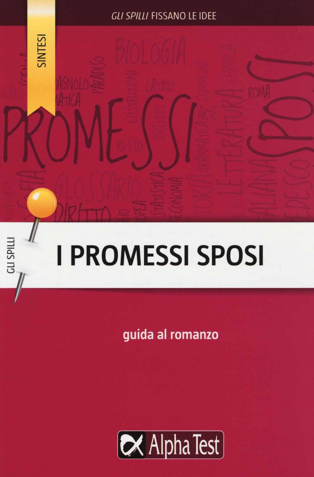 I Promessi Sposi. Guida al romanzo (Gli spilli) Contemporary literature