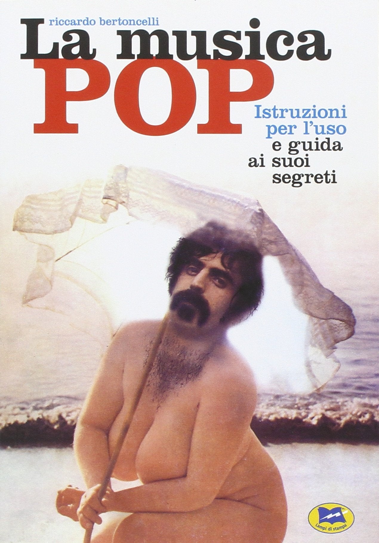 La musica pop. Istruzioni per l'uso e guida ai suoi segreti book