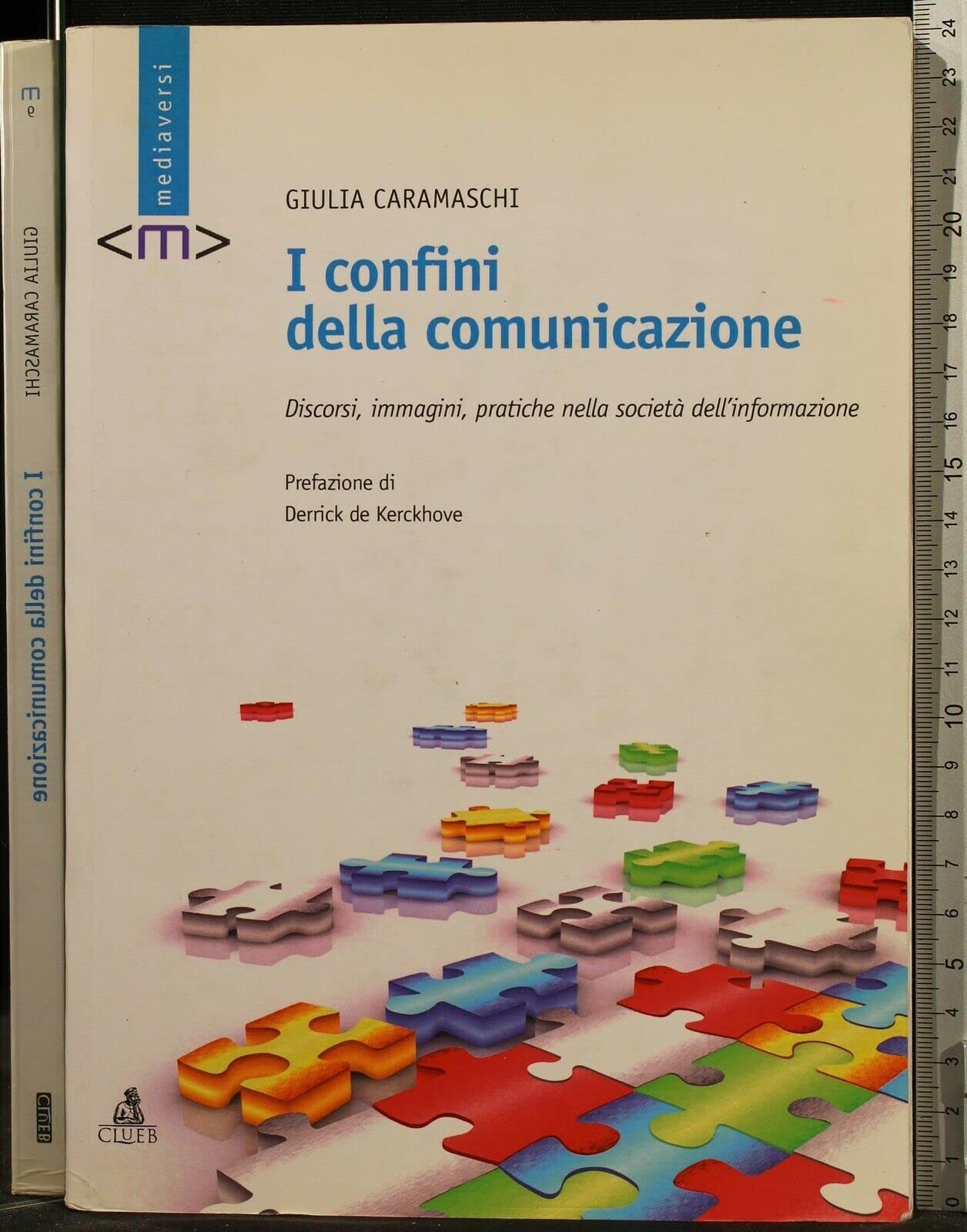 I confini della comunicazione. Discorsi, immagini, pratiche nella società dell'informazione (Mediaversi) Media & Communication