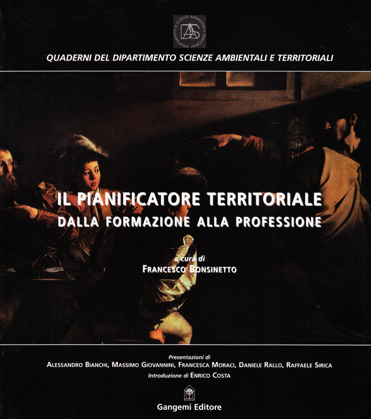Il pianificatore territoriale dalla formazione alla professione book
