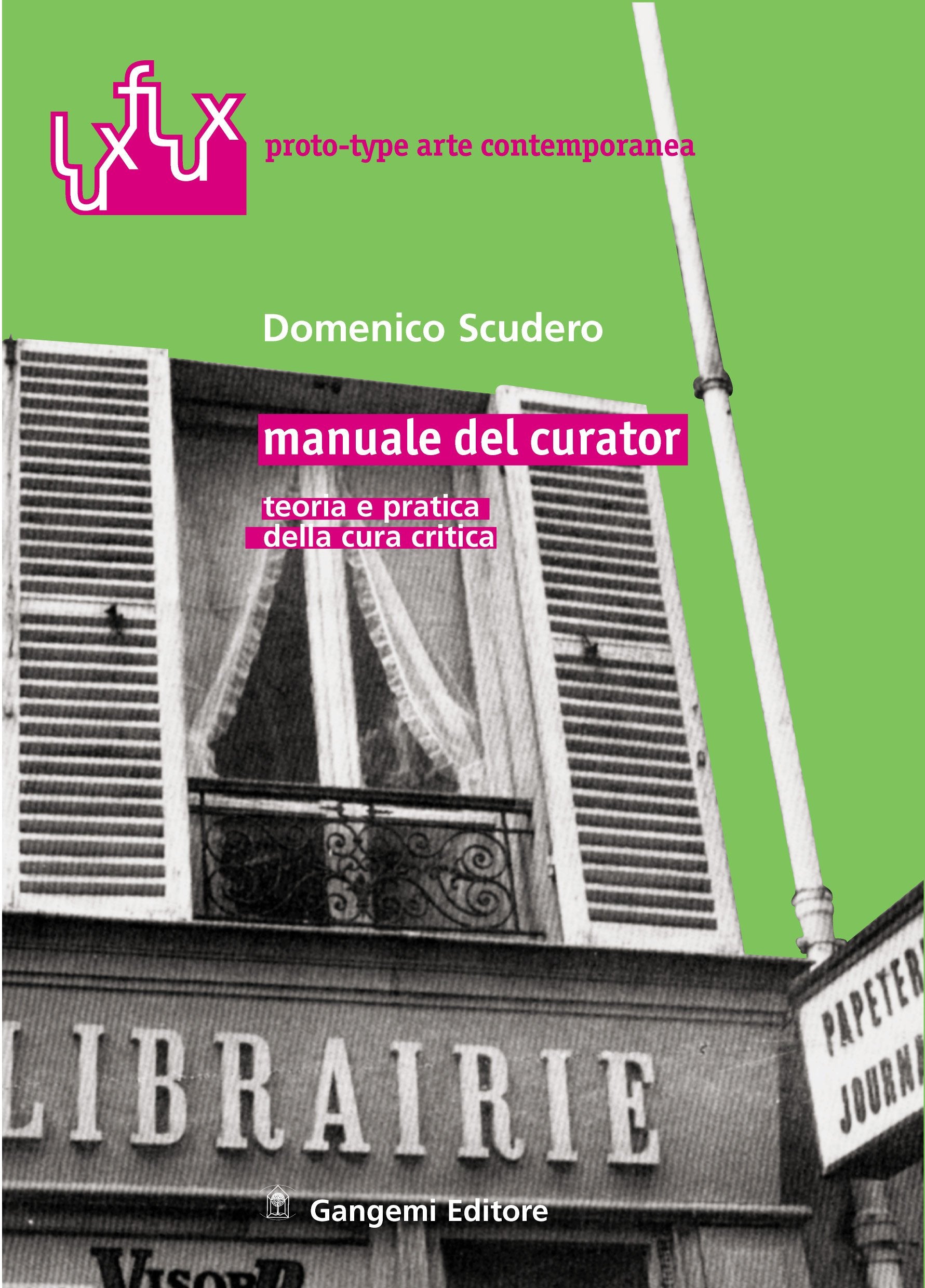 Manuale del curator. Teoria e pratica della cura critica book