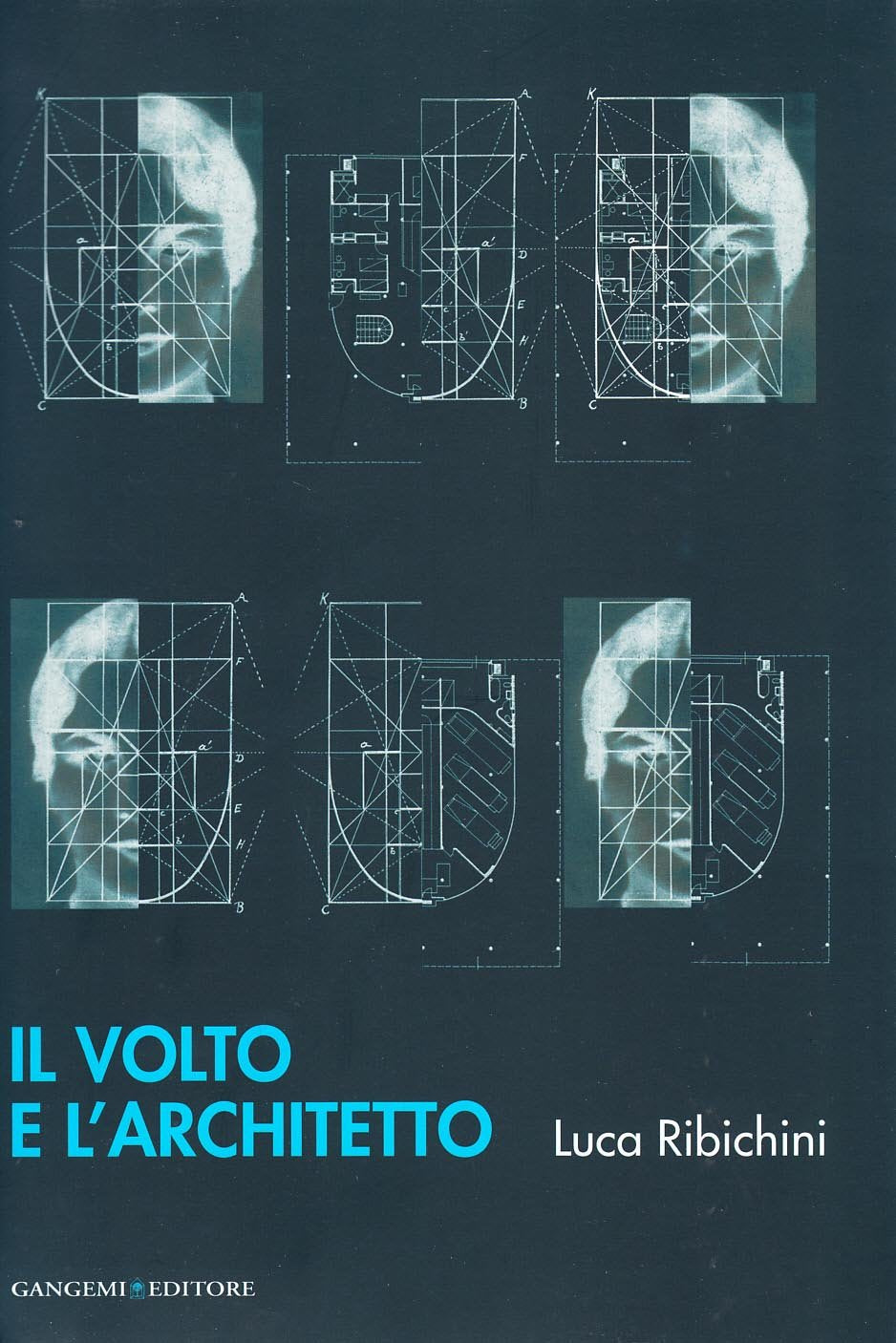 Il volto dell'architetto book