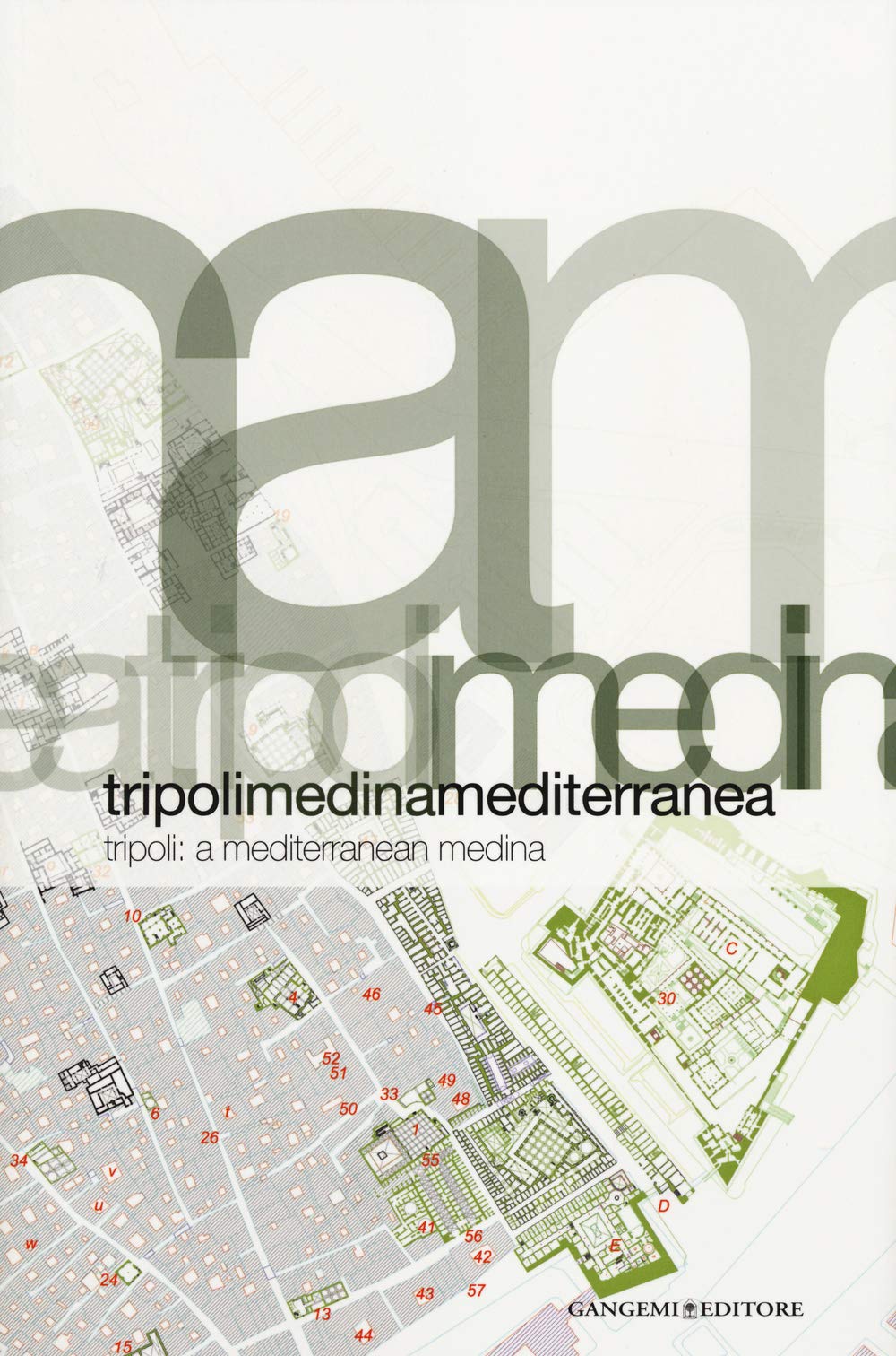 Tripoli: A Mediterranean Medina book