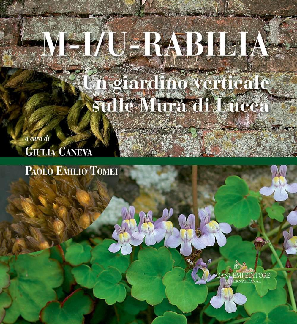 M-i/u-rabilia. Un giardino verticale sulle mura di Lucca. Ediz. a colori book