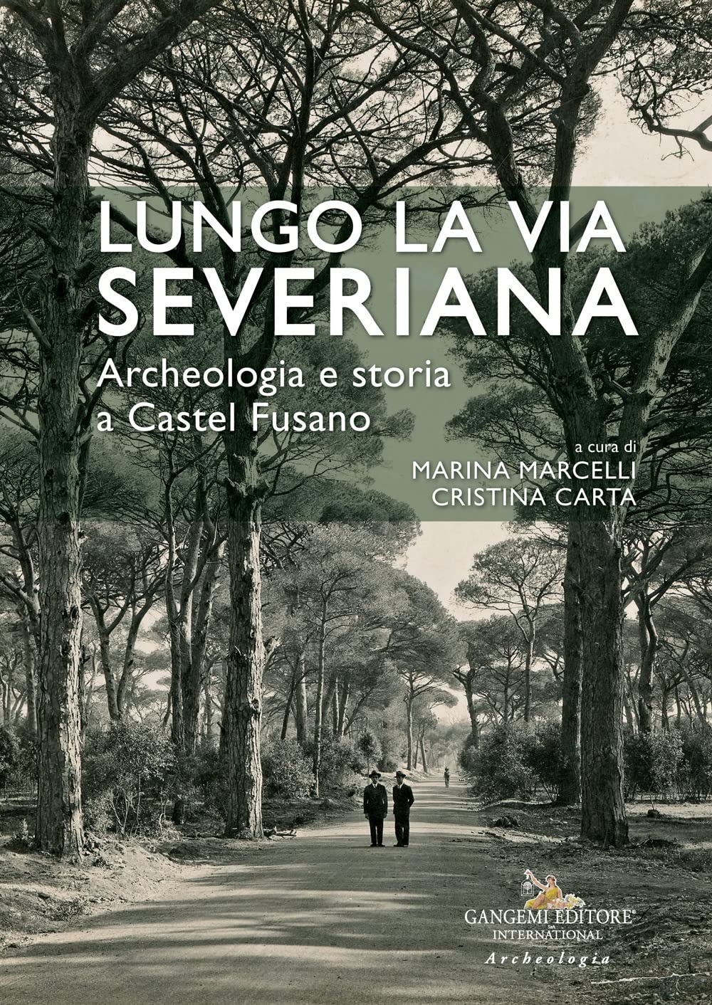 Lungo la Via Severiana. Archeologia e storia a Castel Fusano book