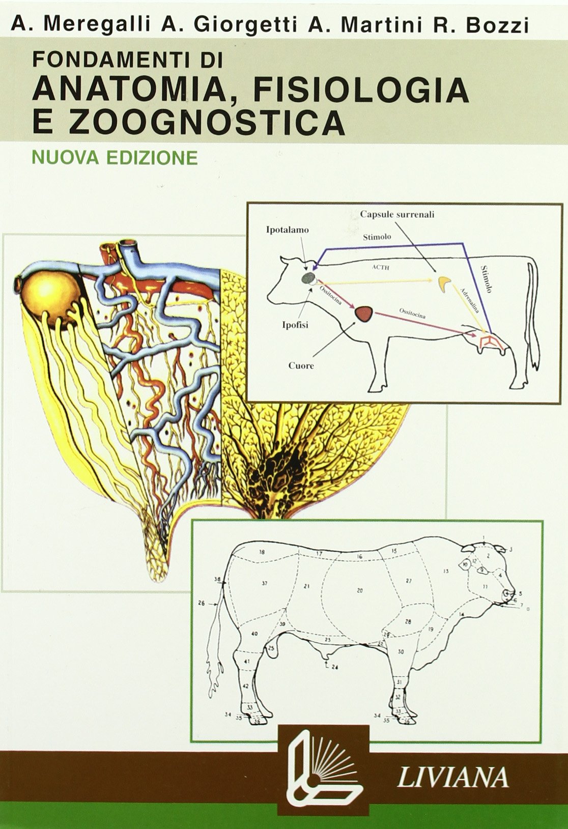 Fondamenti di anatomia, fisiologia e zoognostica. Per gli Ist. tecnici e professionali. Con espansione online Non-fiction