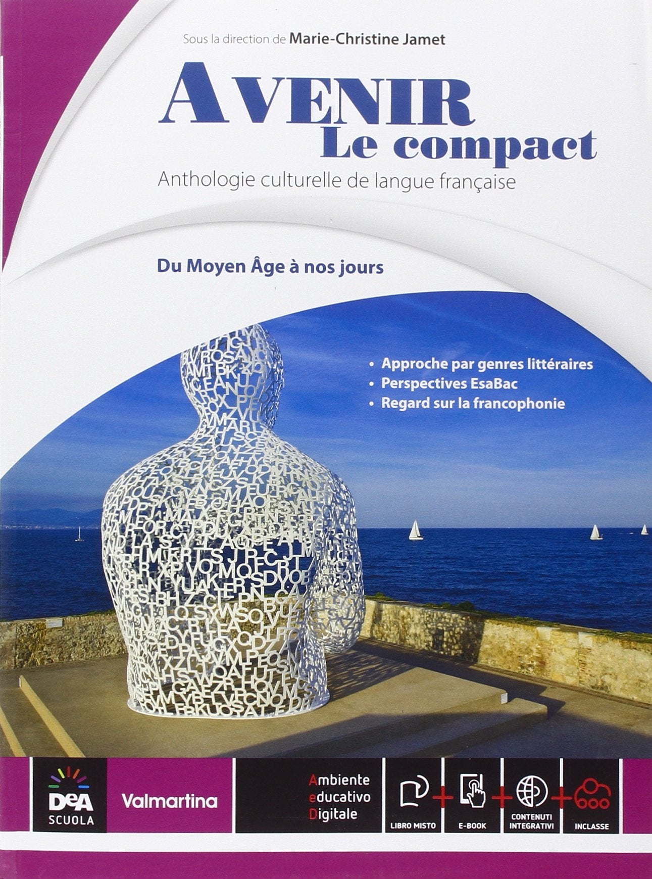 Avenir. Du moyen age a nos jours. Per le Scuole superiori. Con e-book. Con espansione online. Con DVD-ROM. Con Libro: Fascicolo nuovo esame di Stato book