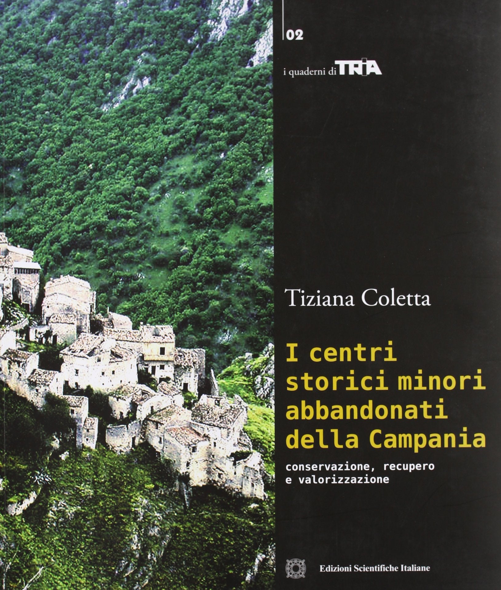 I centri storici minori abbandonati della Campania (I quaderni di TRIA) Architecture