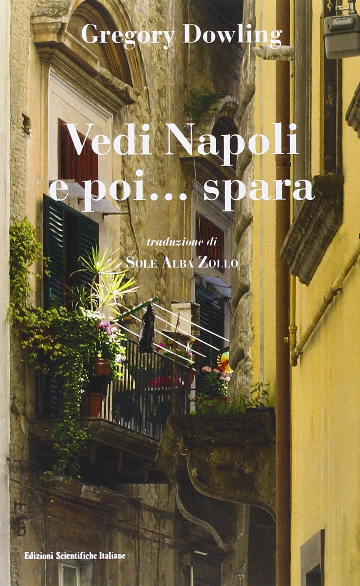 Vedi Napoli e poi... spara (Sguardi su Napoli. Una città narrata da) Contemporary literature
