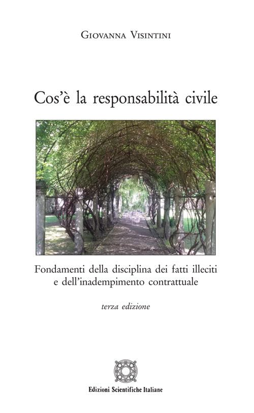 Cos'è la responsabilità civile book