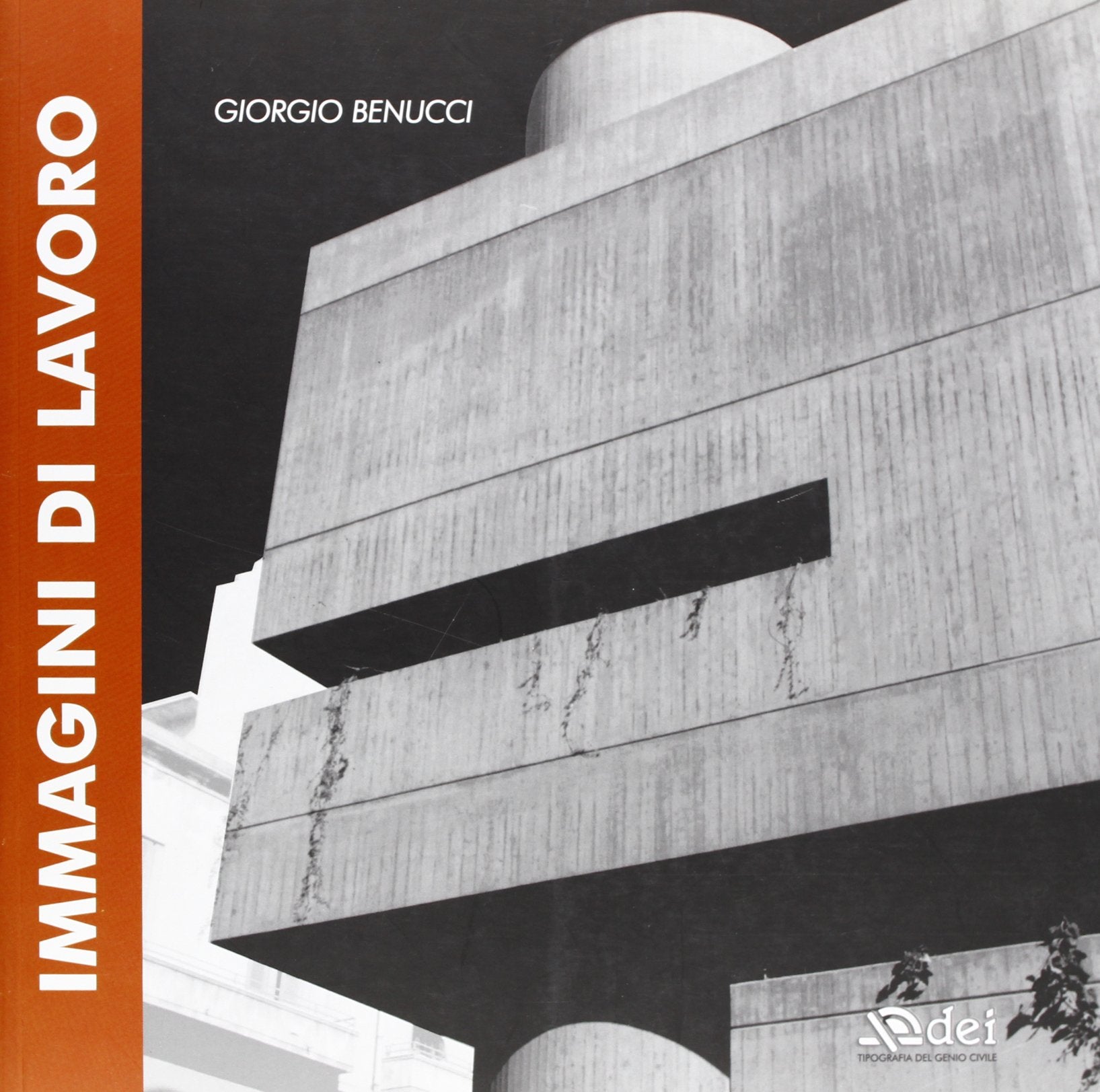 Immagini di lavoro. Architettura e restauri. Urbanistica e piani insediativi book