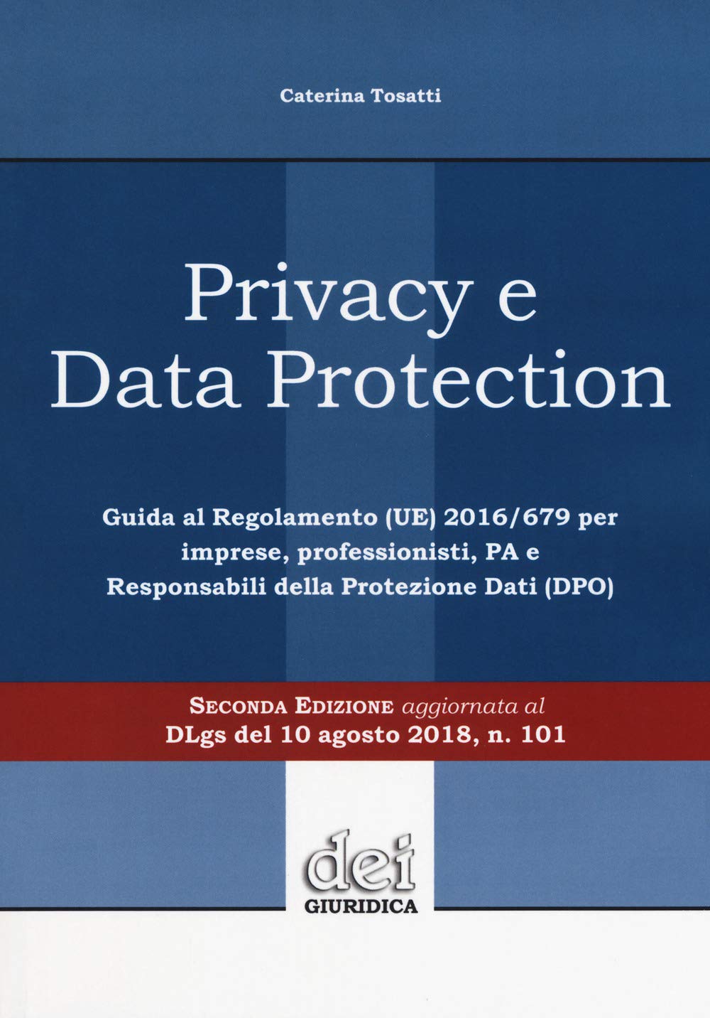 Privacy e data protection. Guida al Regolamento (UE) 2016/679 per imprese, professionisti, PA e Responsabili della protezione dati (DPO) book