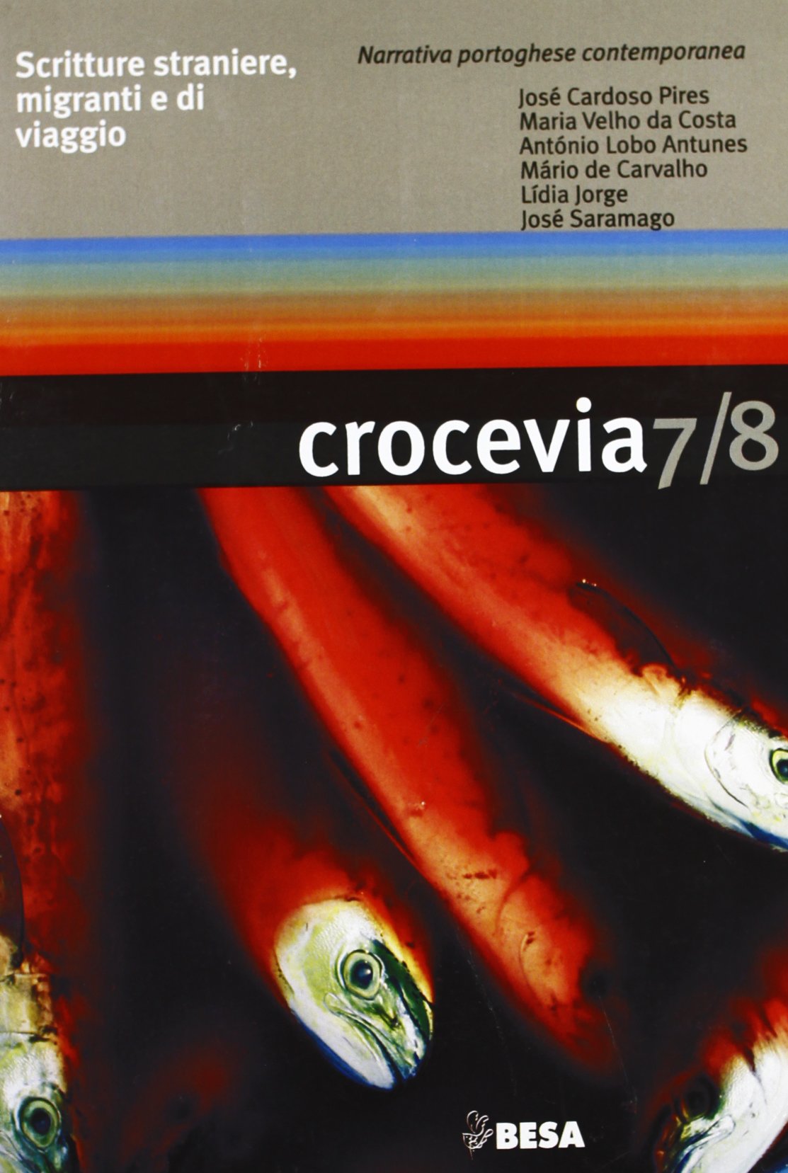 Crocevia. Scritture straniere, migranti e di viaggio vol. 7-8: La narrativa portoghese contemporanea (Le riviste) Contemporary literature