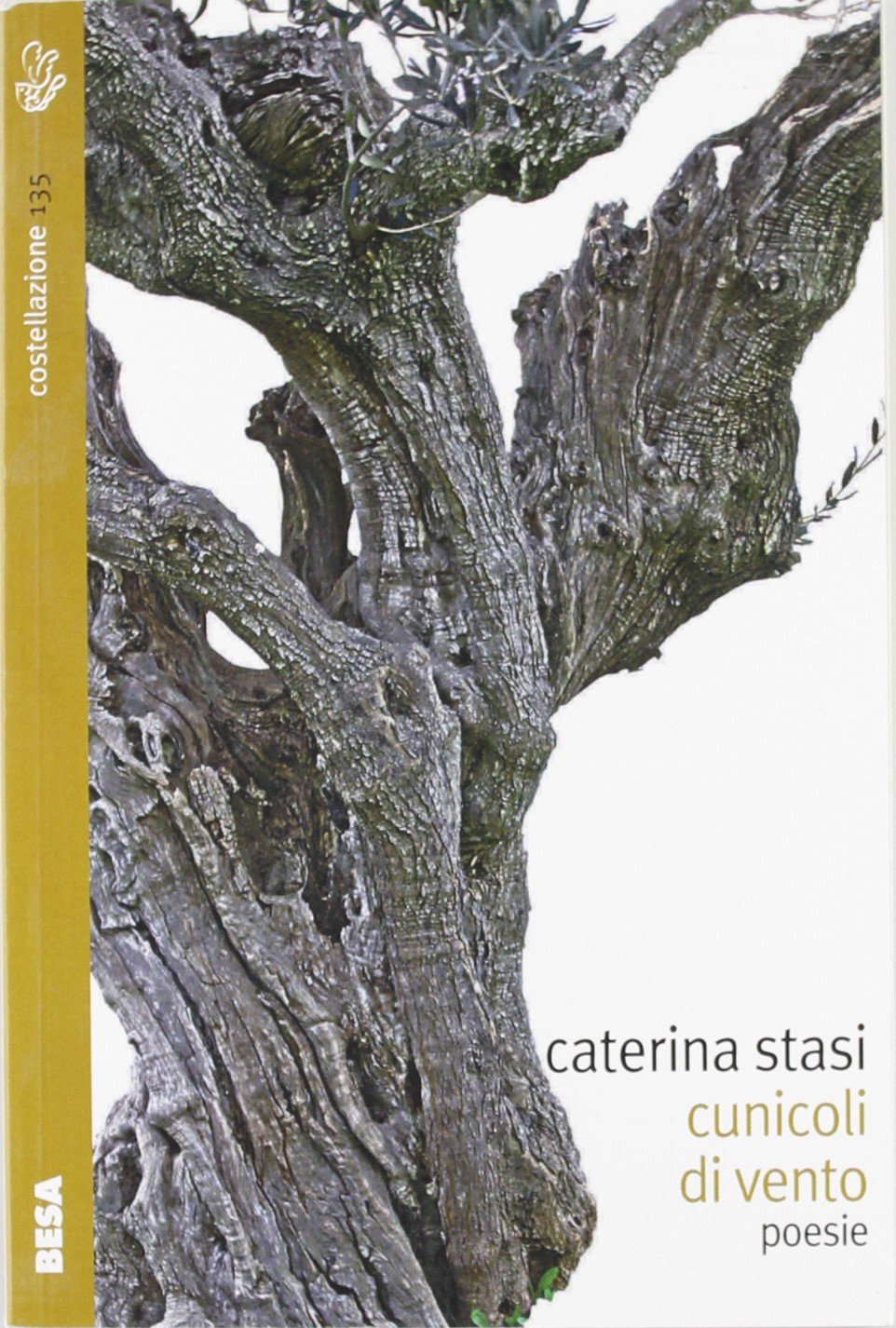 Cunicoli di vento (Costellazione) Contemporary literature