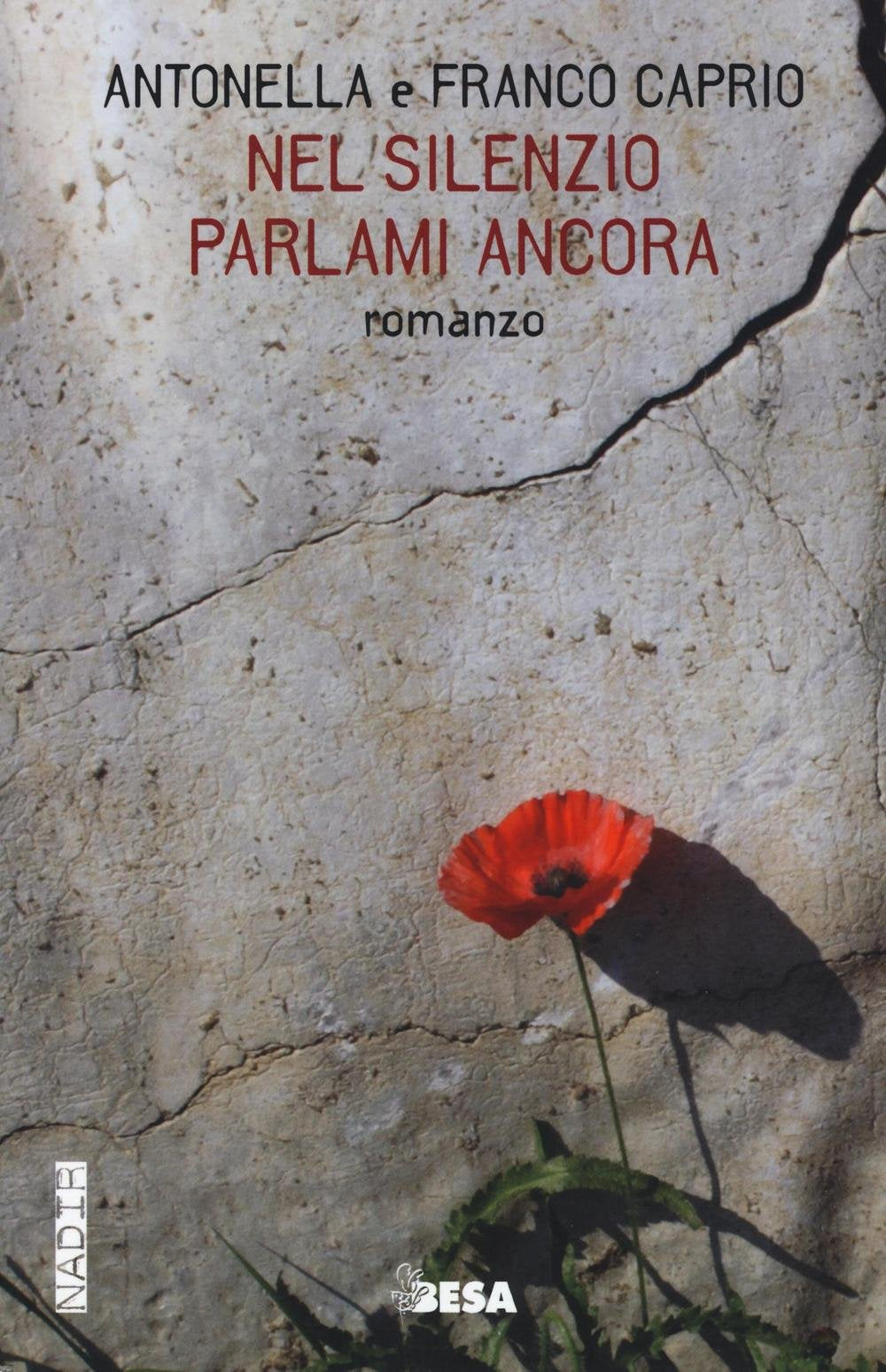 Nel silenzio parlami ancora (Nadir) Contemporary literature