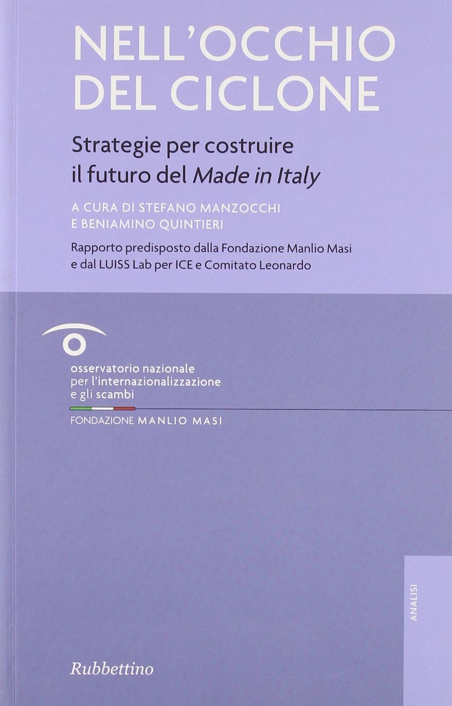 Nell'occhio del ciclone. Strategie per costruire il futuro del made in Italy book