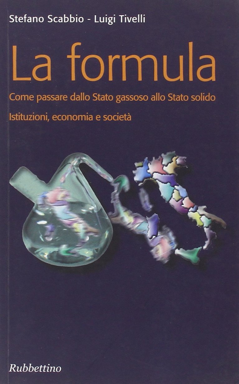 La formula. Come passare dallo Stato gassoso allo Stato solido. Istituzioni, economia e società book