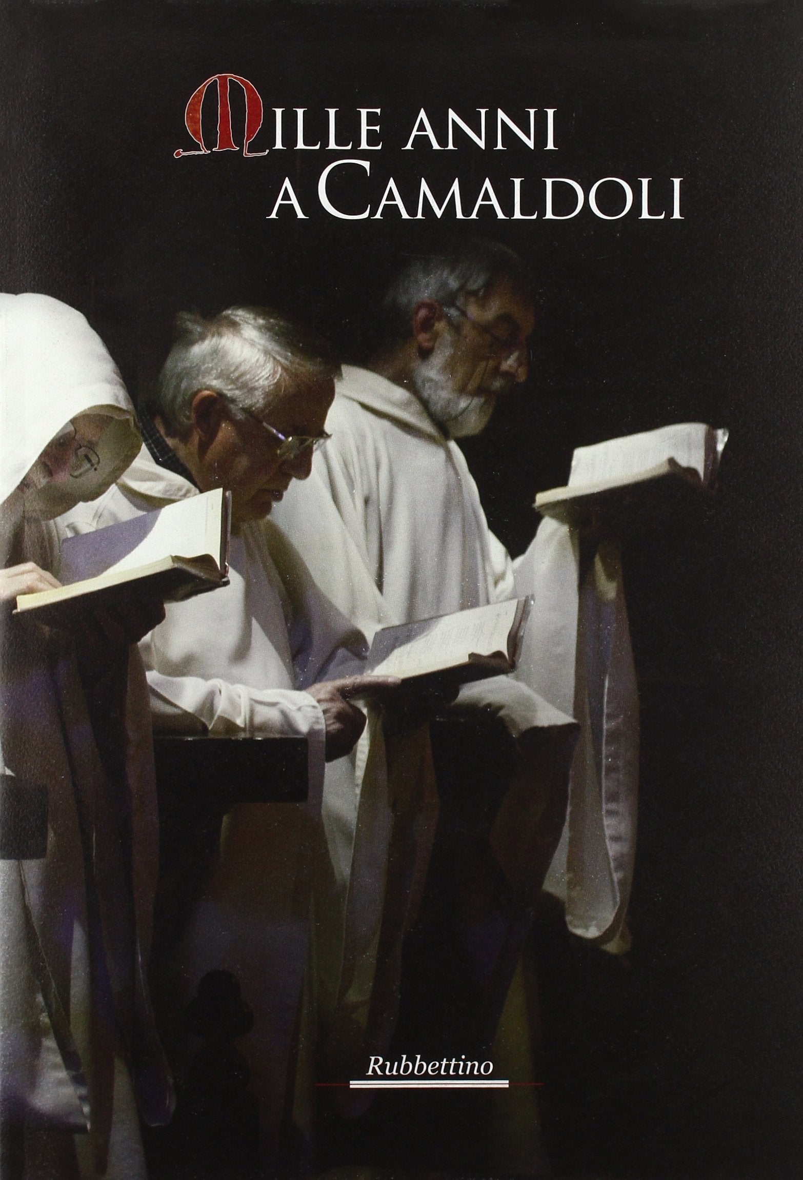 Mille anni a Camaldoli. Ediz. illustrata book