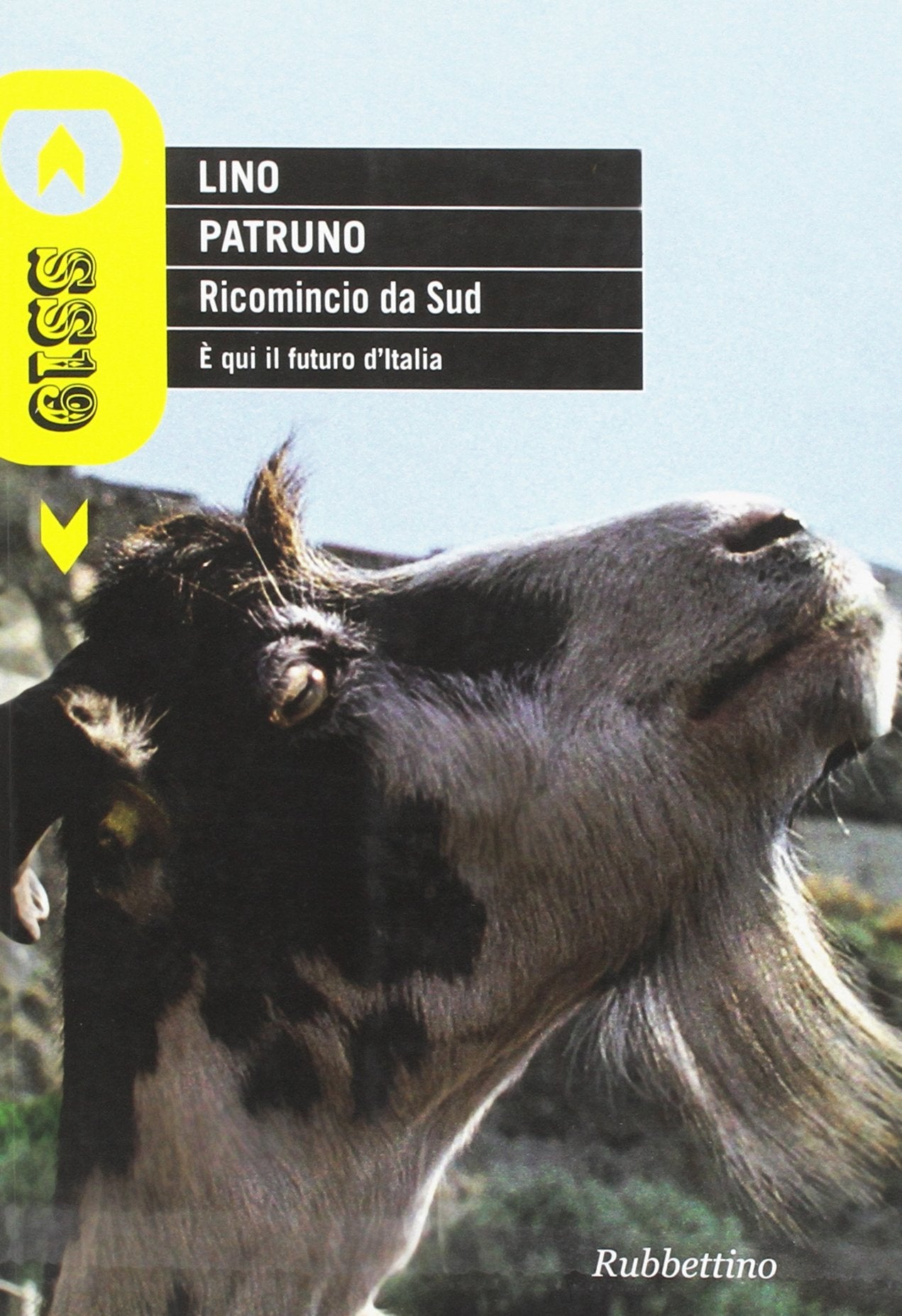 Ricomincio da Sud. È qui il futuro d'Italia book