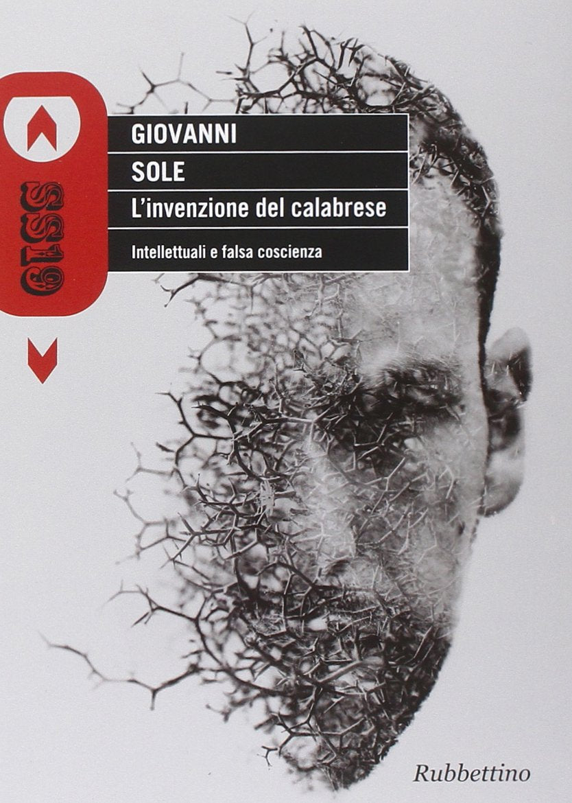 L'invenzione del calabrese. Intellettuali e falsa coscienza Politics & History