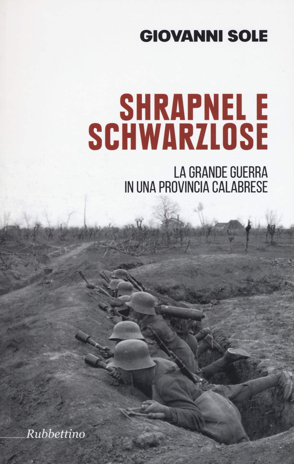 Shrapnel e Schwarzlose. La Grande Guerra in una Provincia Calabrese. Politics & History